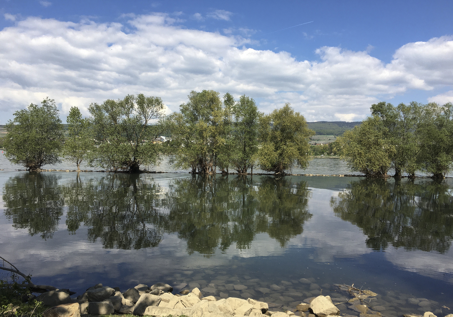 Rhein bei Frei-Weinheim