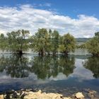 Rhein bei Frei-Weinheim