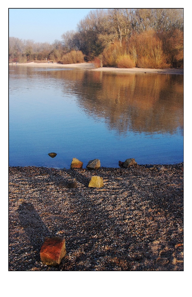 Rhein bei Gernsheim 2