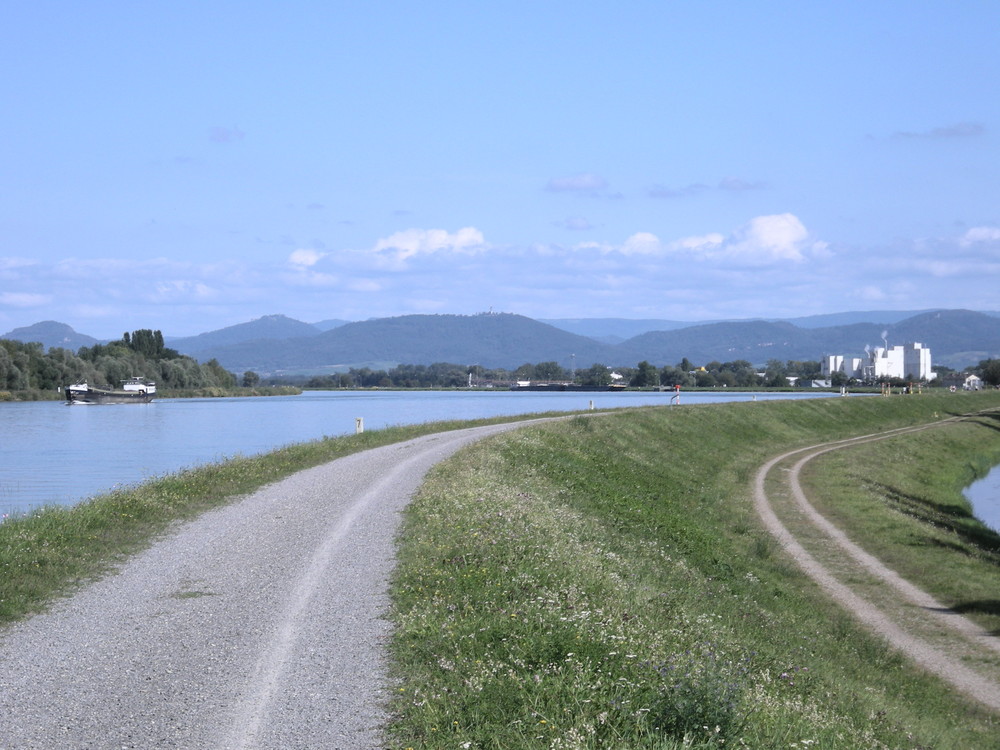 Rhein bei Greffern/Rheinmünster