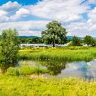 Rhein bei Heidenfahrt (1)