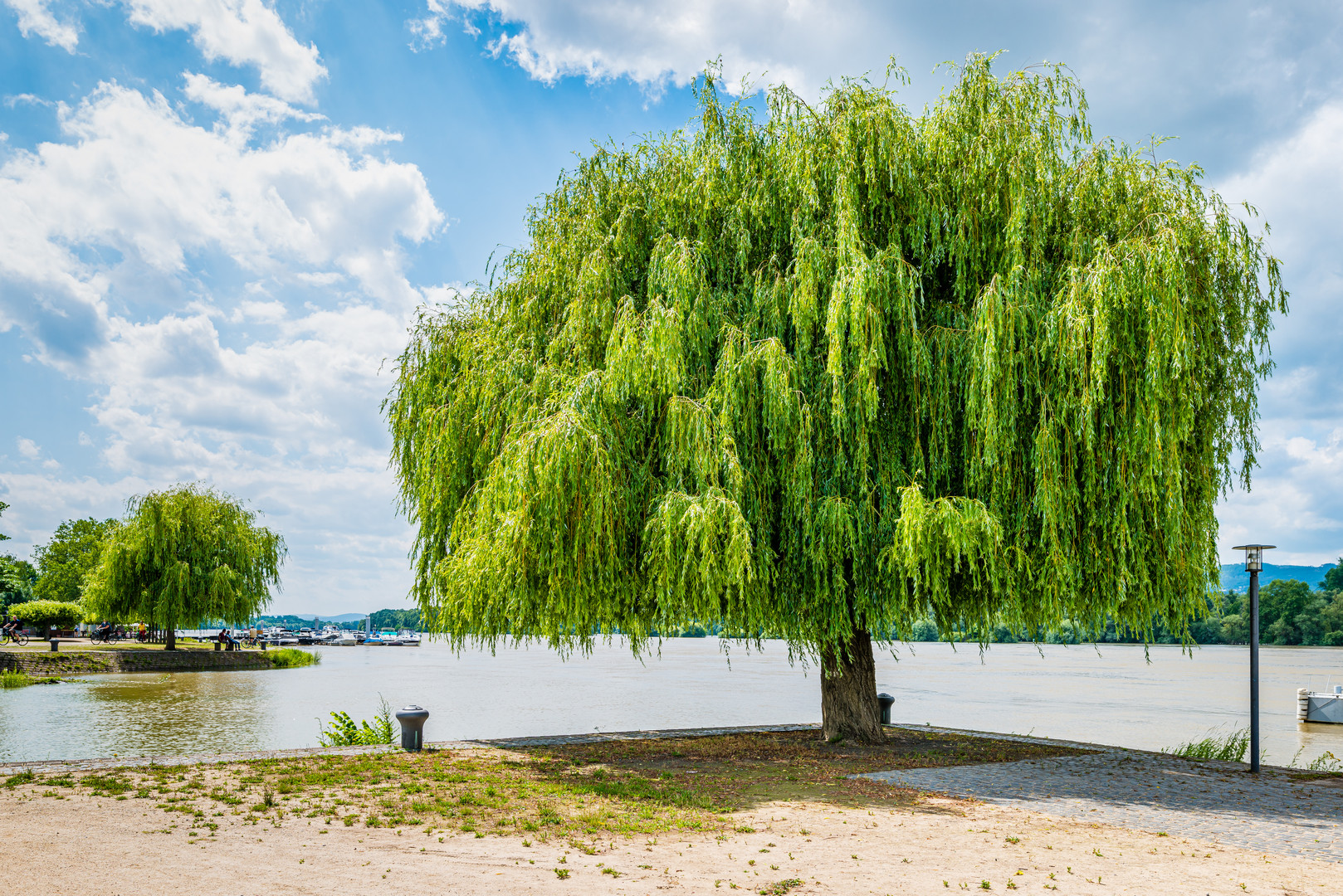 Rhein bei Heidenfahrt 18