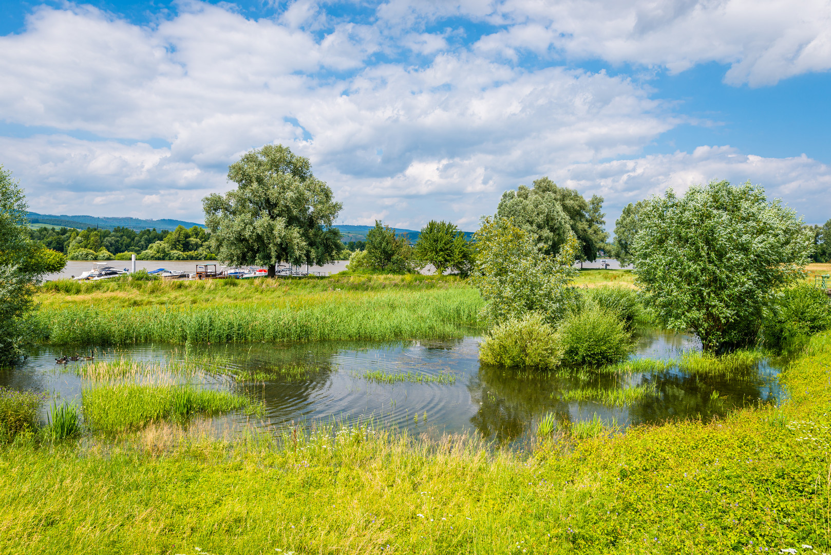 Rhein bei Heidenfahrt 23