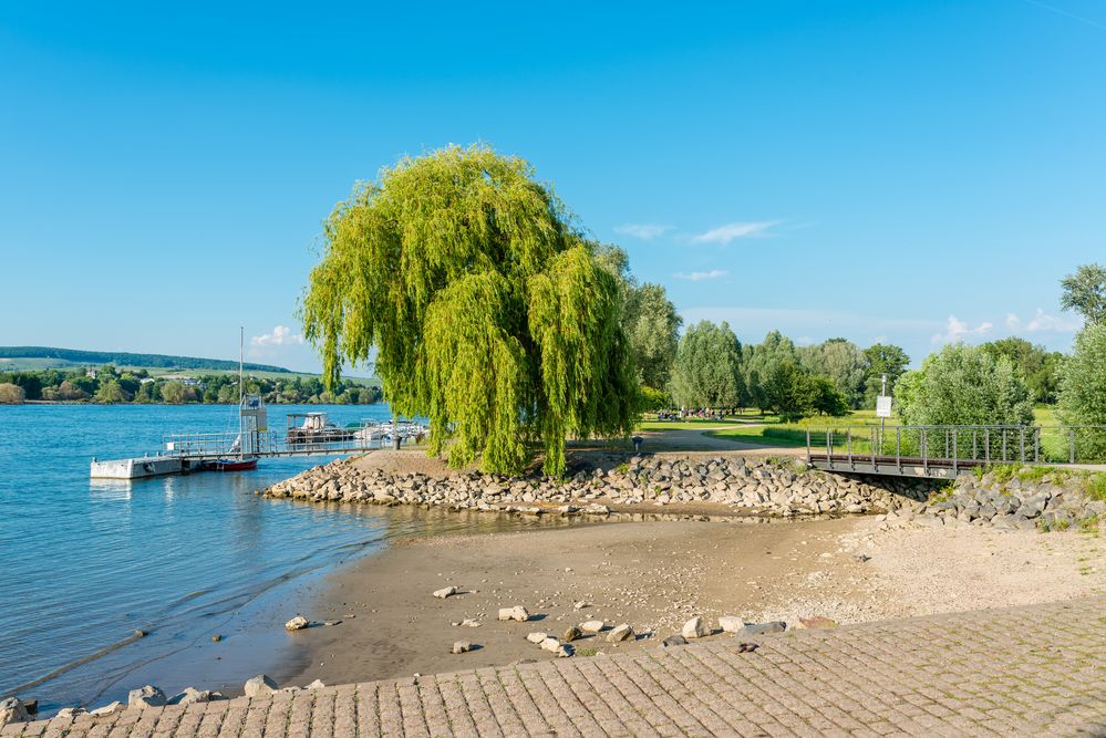 Rhein bei Heidenfahrt