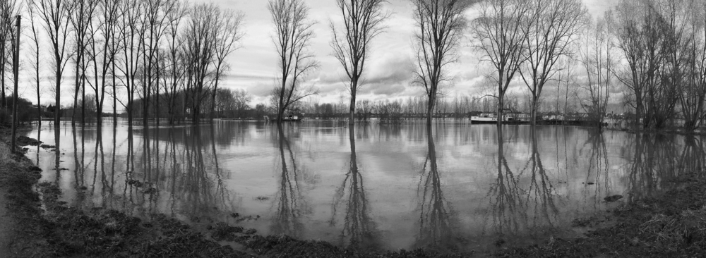 Rhein bei Hersel