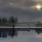 Rhein  bei Hochwasser Spiegelung