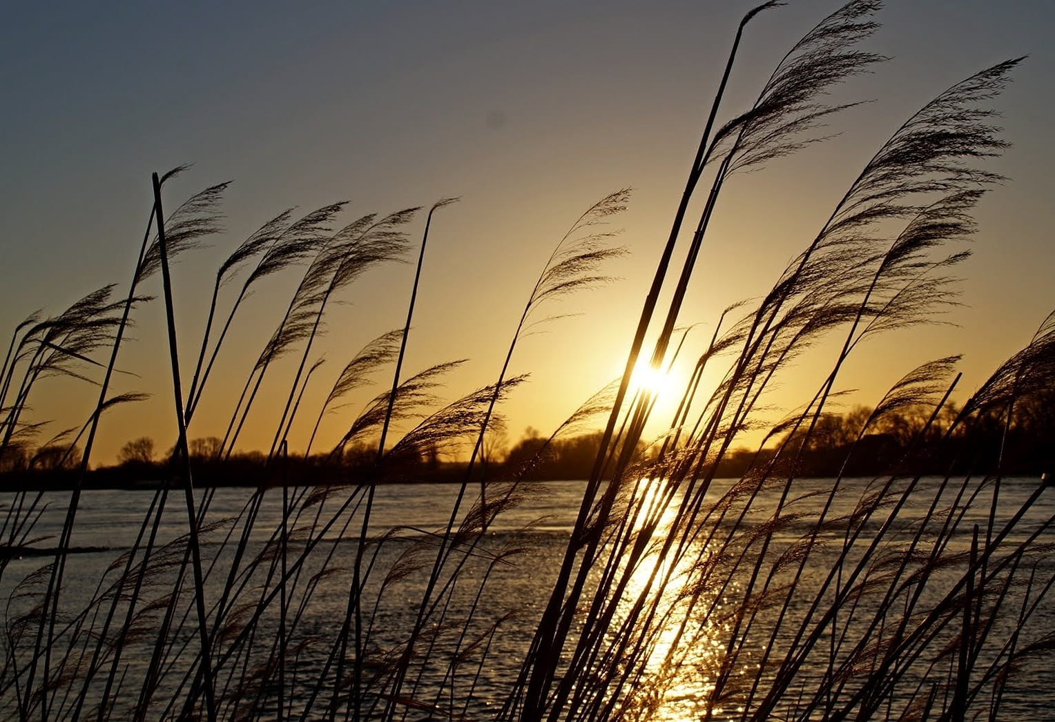 Rhein bei Kaiserswerth