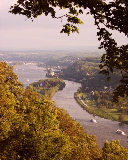 Rhein bei Königswinter