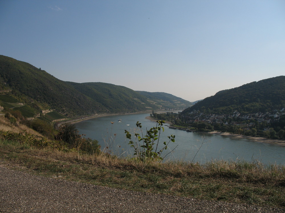 Rhein bei Lorch (Hessen)