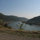 Rhein bei Lorch (Hessen)