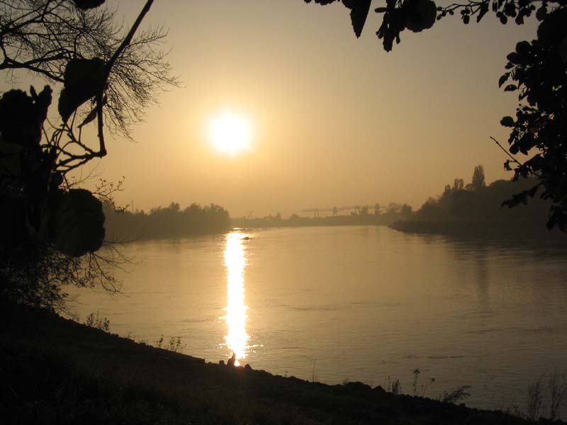 Rhein bei Mannheim