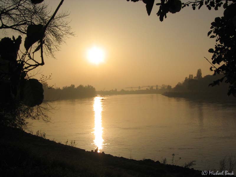 Rhein bei Mannheim / Abendstimmung