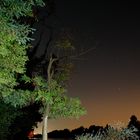 Rhein bei Nacht in Augst