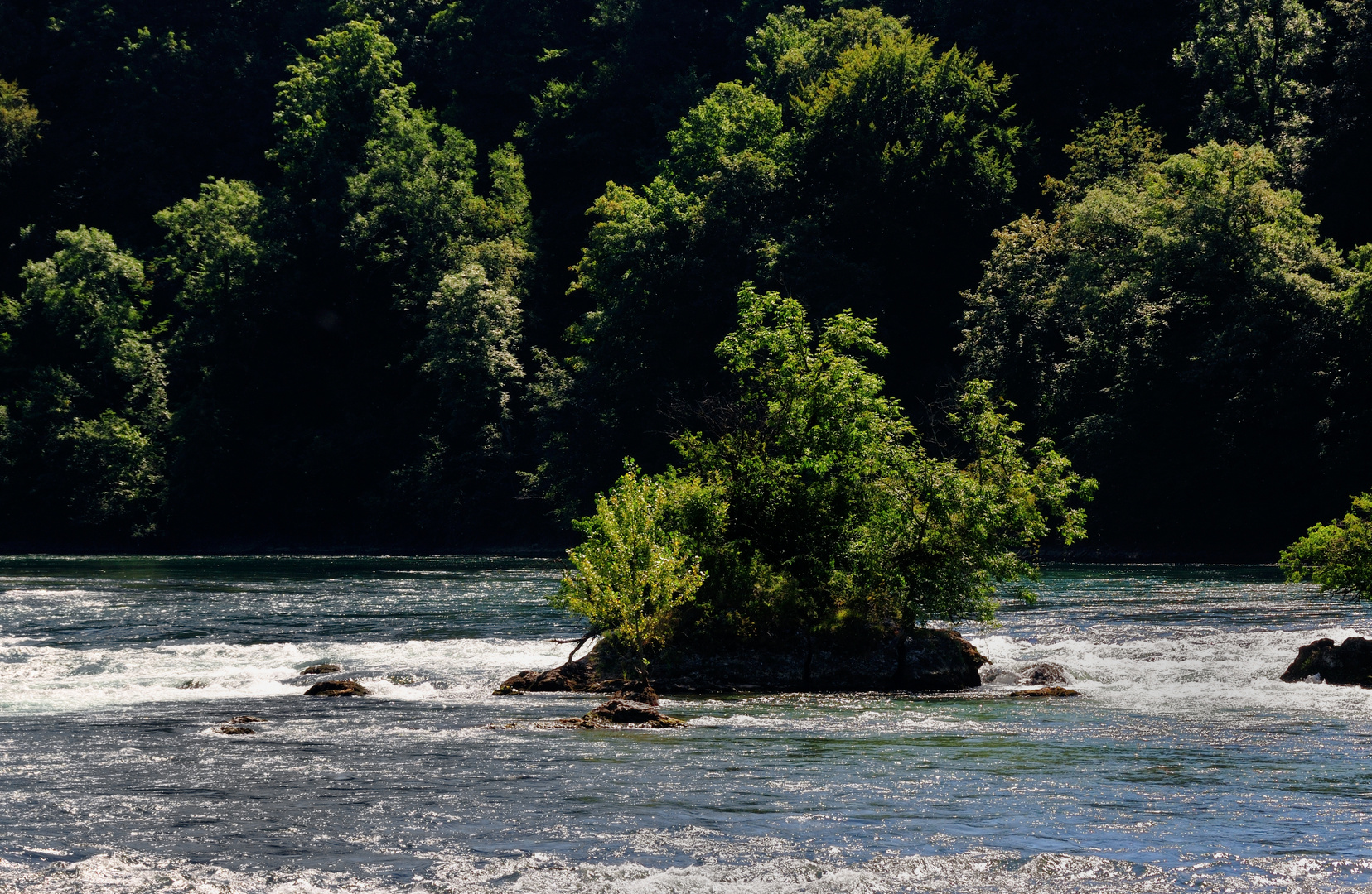 Rhein bei Neuhausen