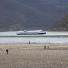 Rhein bei Niedrigstwasser