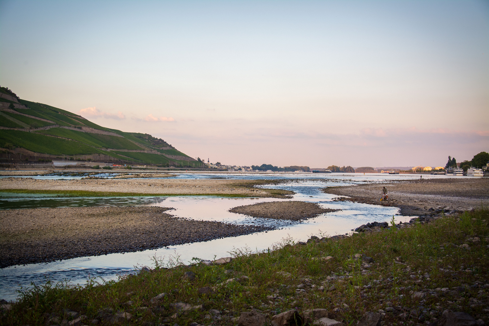 Rhein bei Niedrigwasser