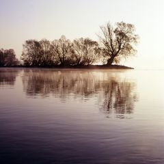 Rhein bei Oestrich-Winkel