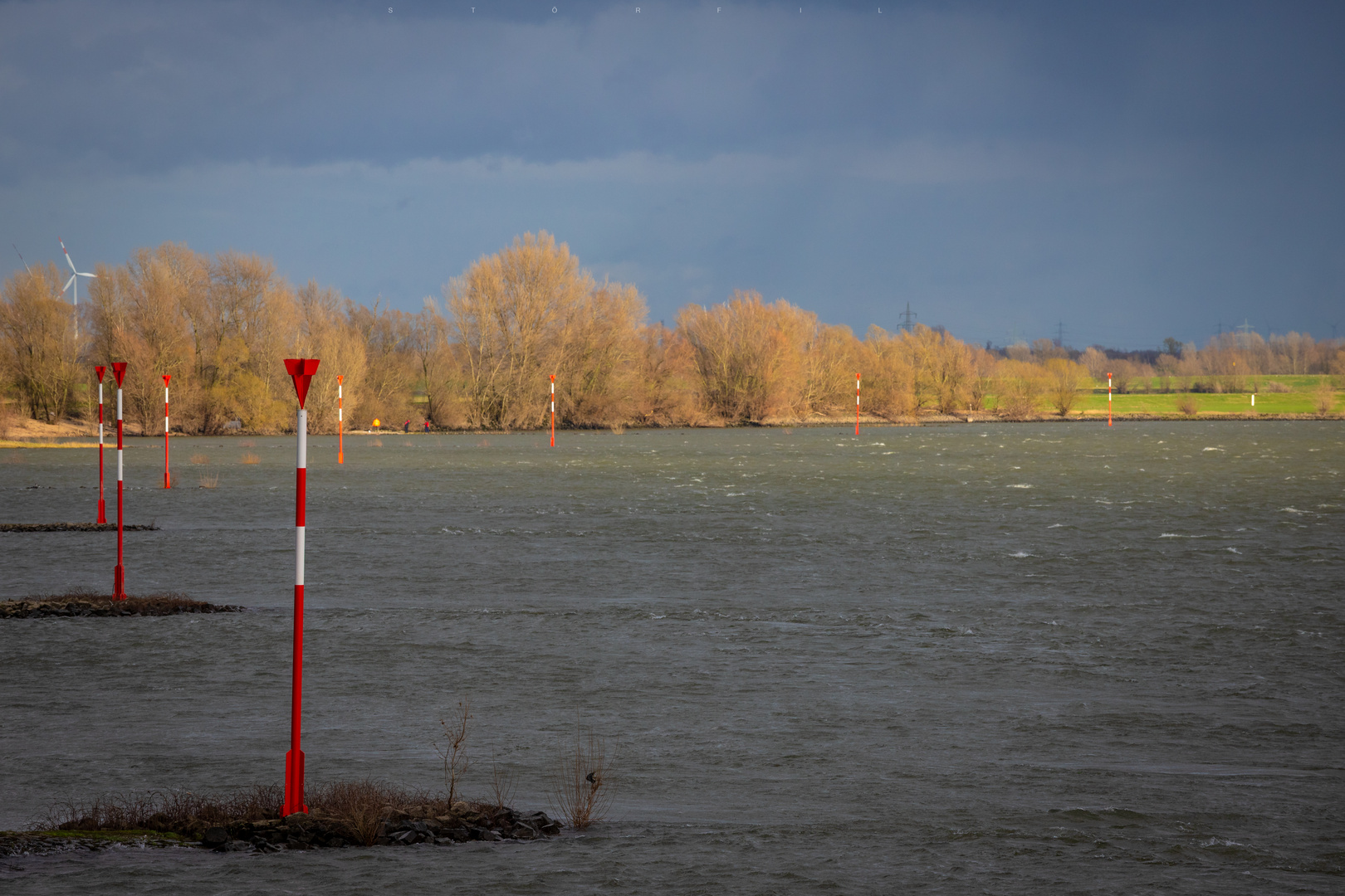 Rhein bei Rees