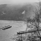 Rhein bei Remagen