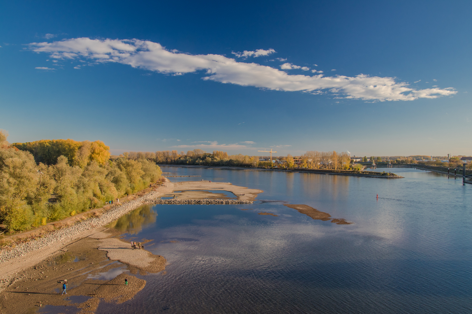 Rhein bei Speyer