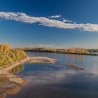 Rhein bei Speyer