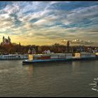 Rhein bei Speyer