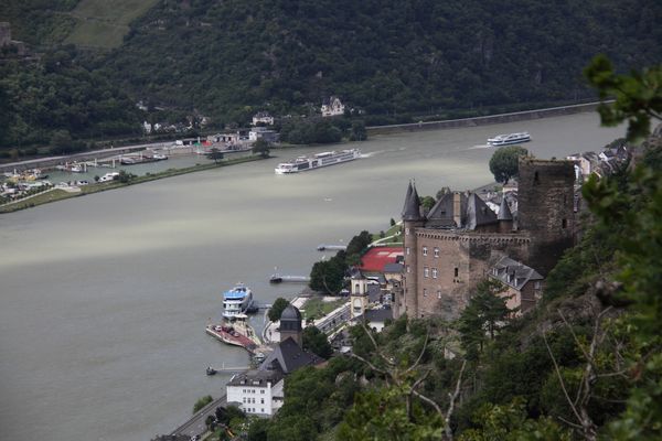 Rhein bei St Goarshausen