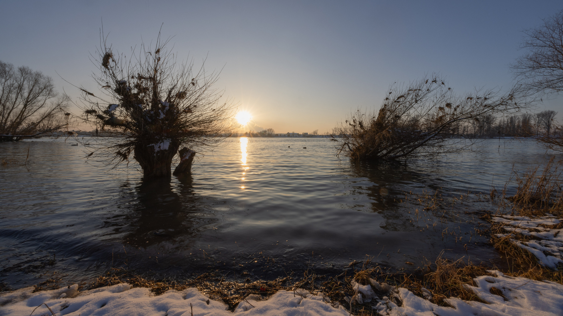 Rhein bei Urdenbach II