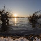 Rhein bei Urdenbach II