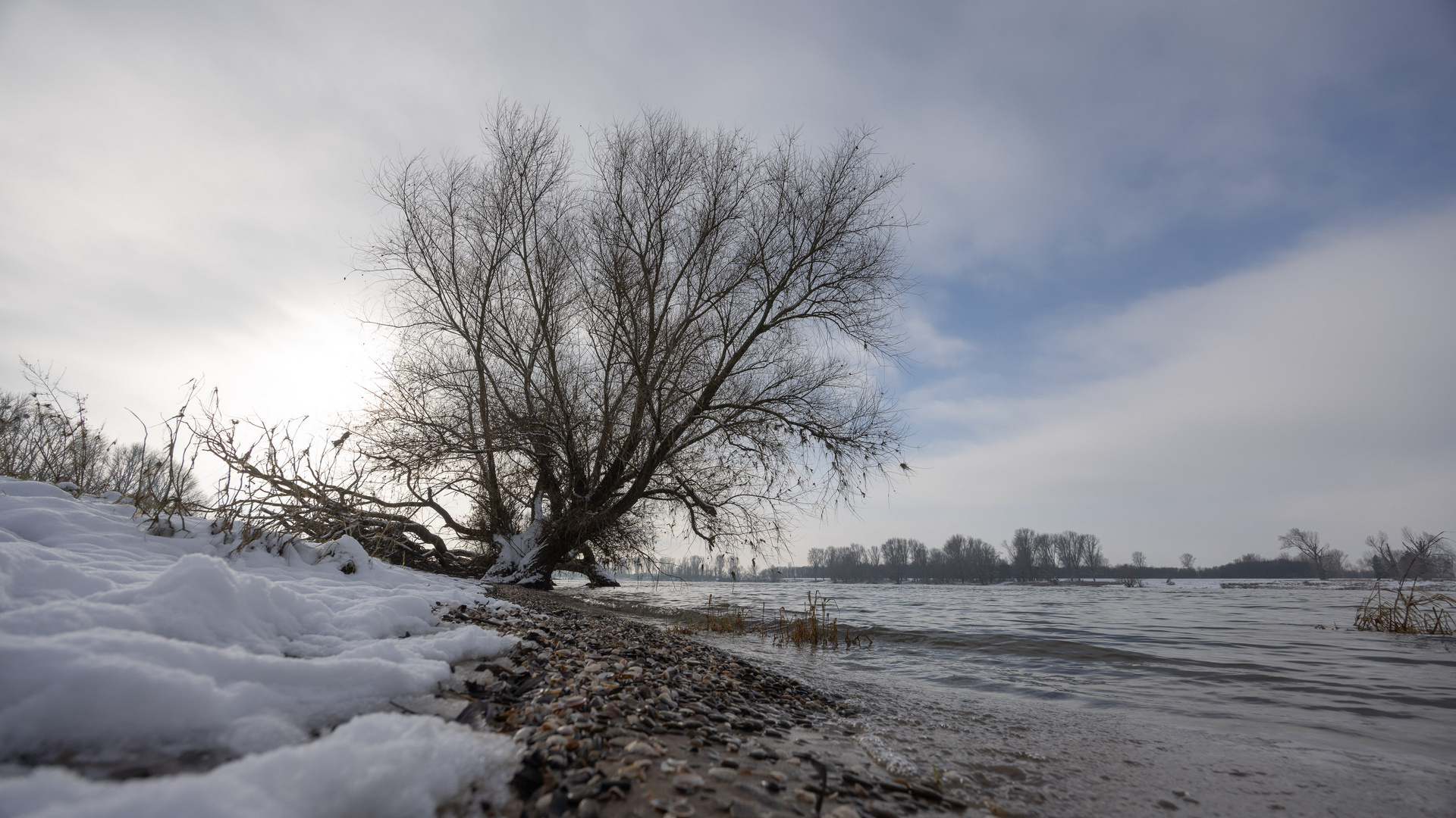 Rhein bei Urdenbach II