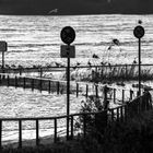 Rhein bei Walsum