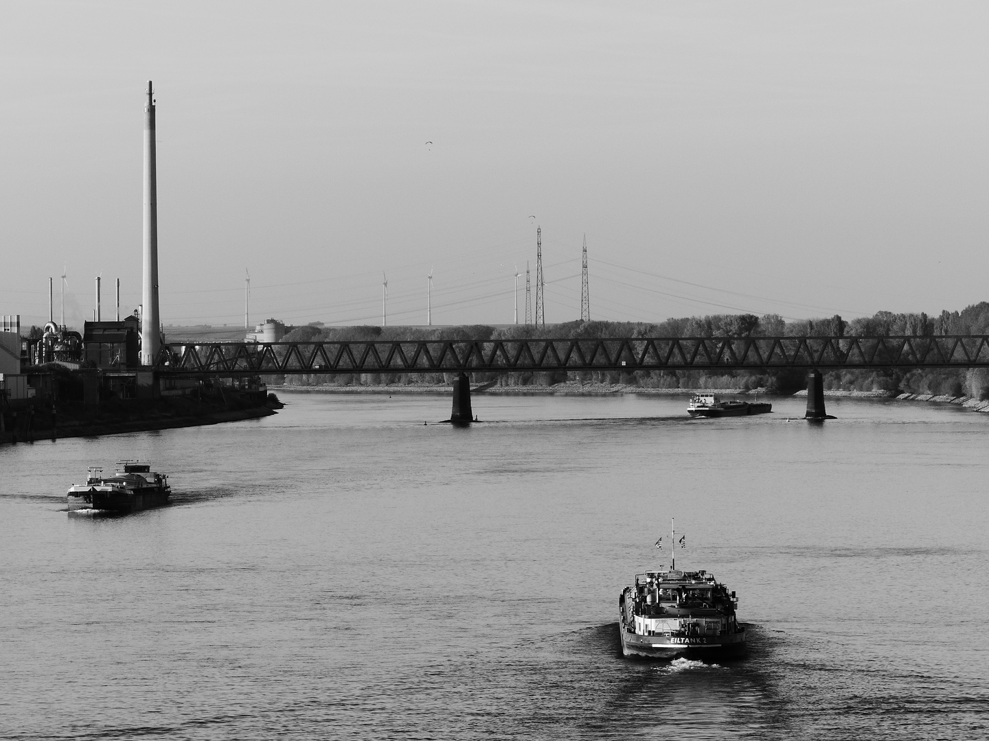 Rhein bei Worms