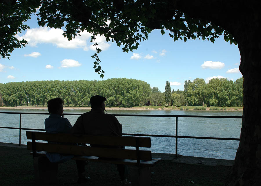 Rhein bei Worms