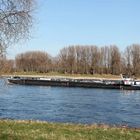 Rhein bei Zons #063