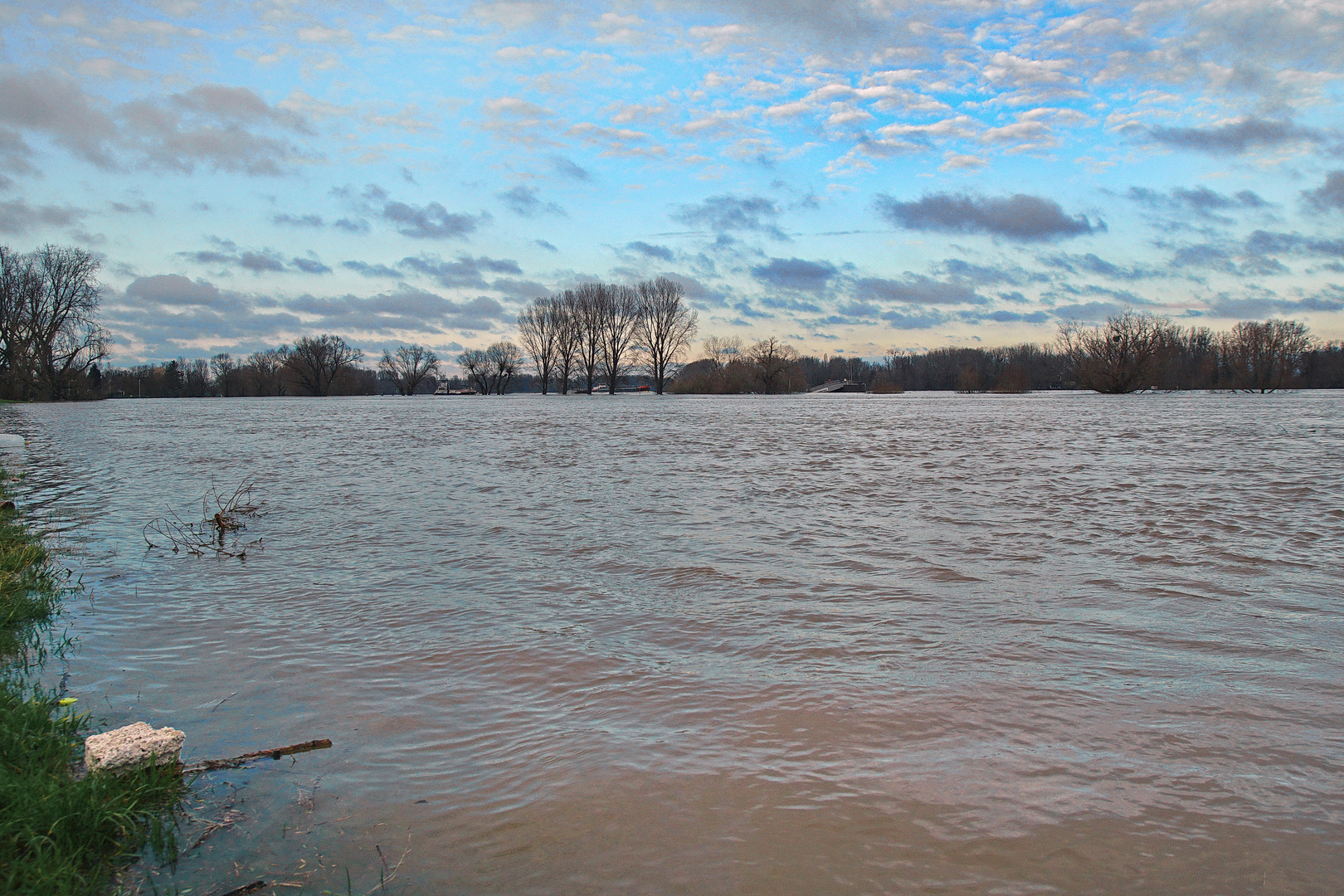 Rhein bei Zons am 07.01.2018