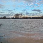 Rhein bei Zons am 07.01.2018