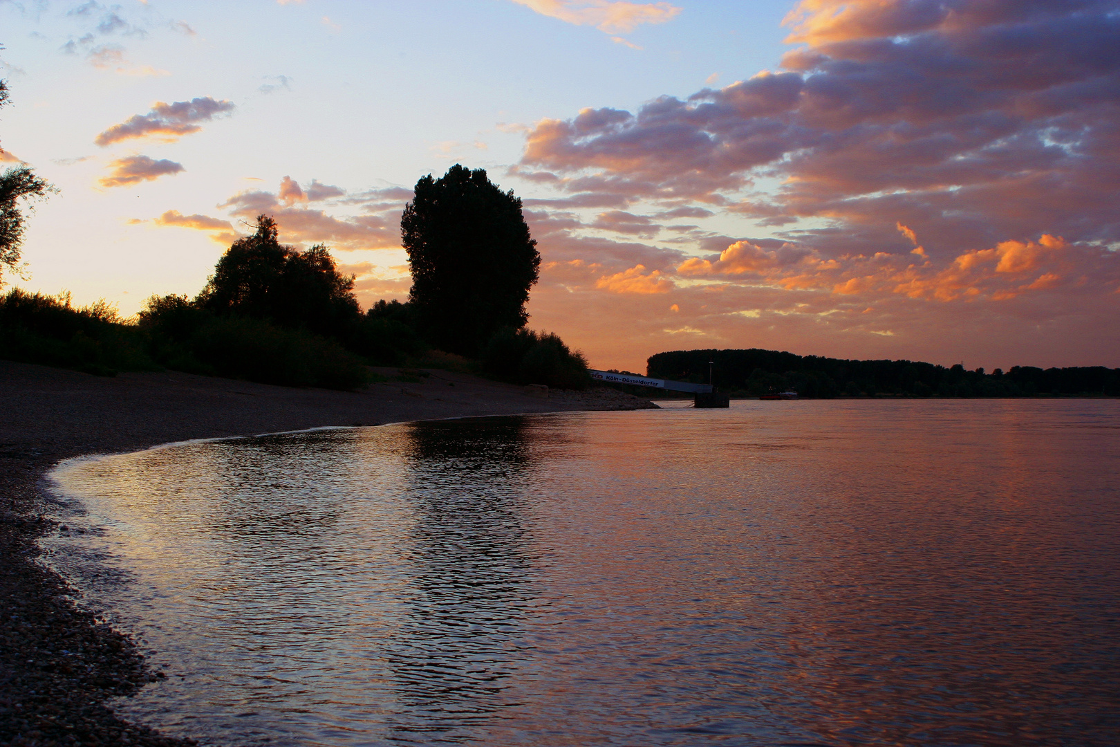 Rhein bei Zoons