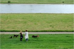 Rhein, belebt