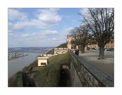 Rhein-Blick