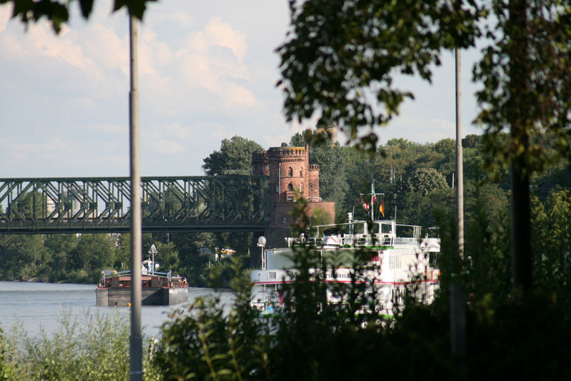 Rhein Blick