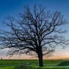 Rhein Cycling