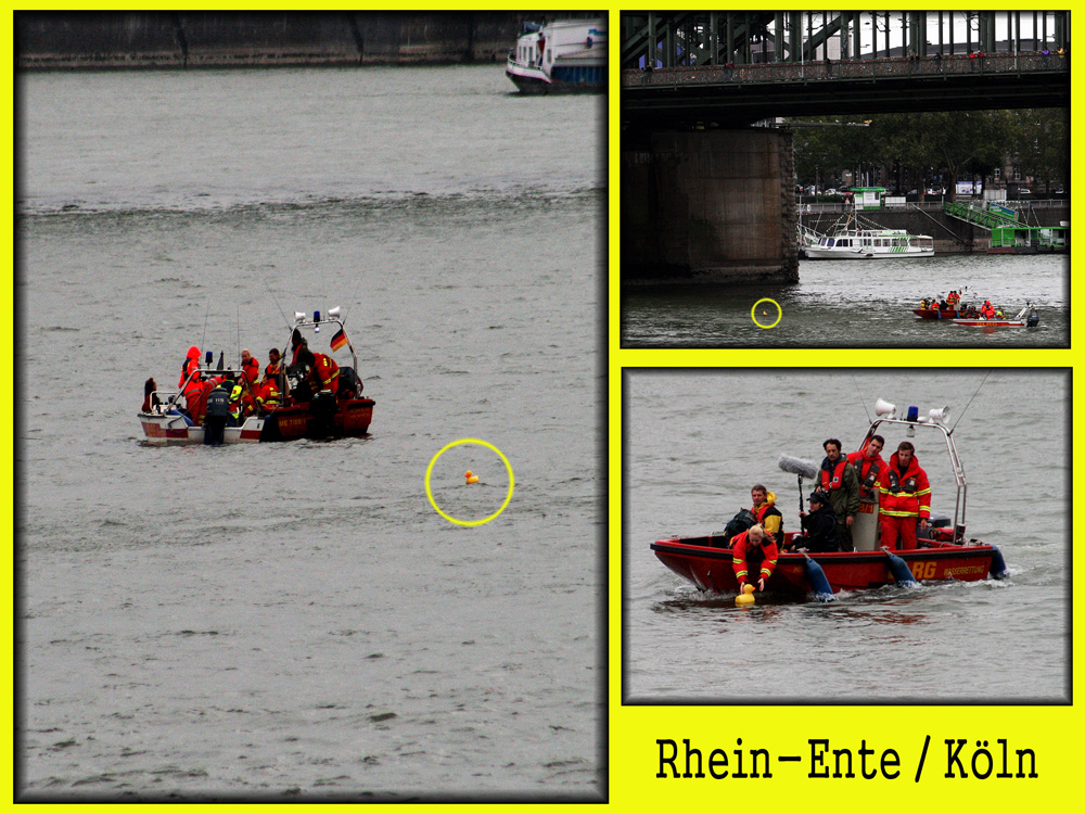 Rhein-Ente