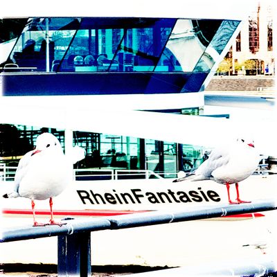 Rhein Fantasie