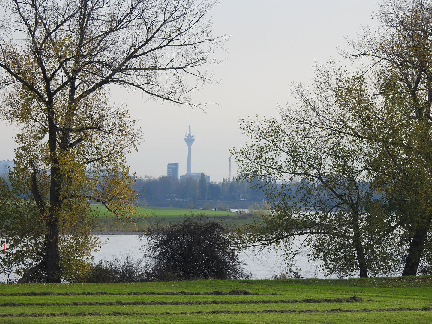 Rhein 