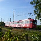 Rhein Haardt Bahn