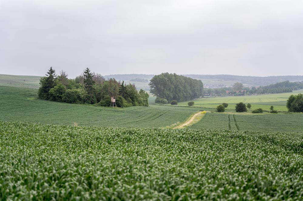 Rhein-Hessen im Dunst