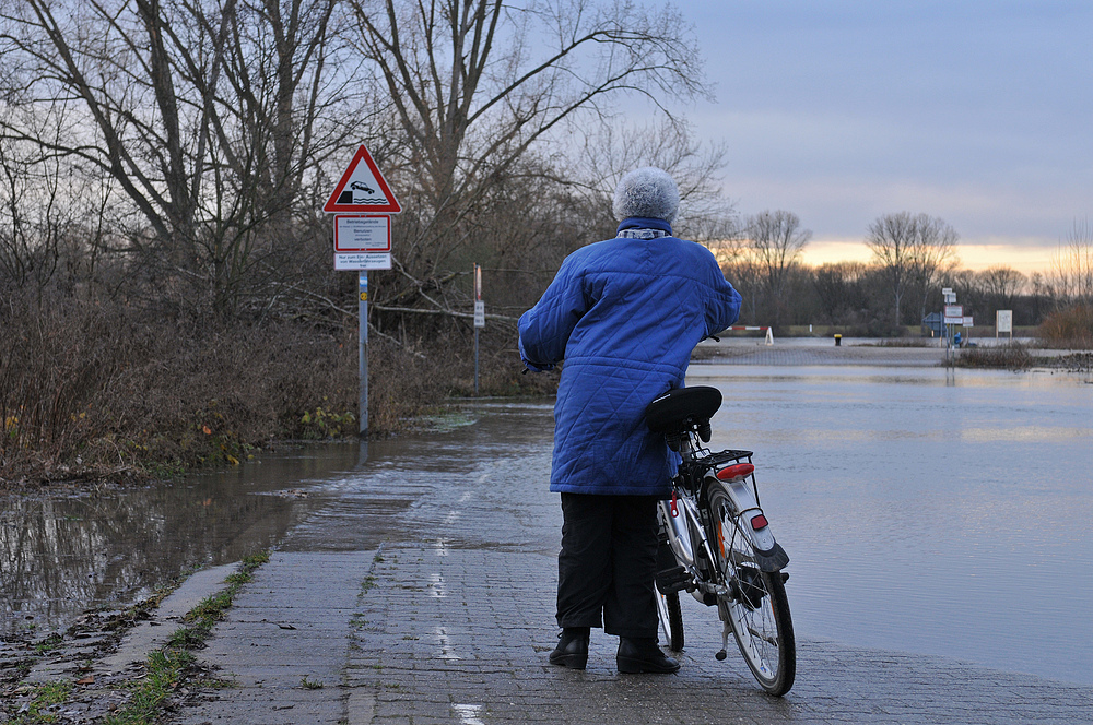 Rhein – Hochwässerchen – Gucken