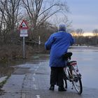 Rhein – Hochwässerchen – Gucken