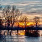 Rhein Hochwasser 2011 01