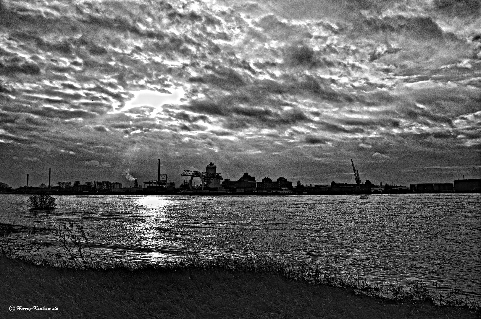 Rhein-Hochwasser 2012